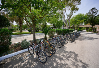 Biciclette parcheggiate all’ombra degli alberi a Camping Nautic Almata, parco vacanze in Catalogna, Spagna.