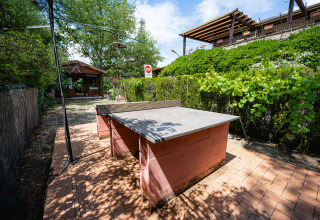 Buiten pingpongtafel bij Camping Pian Di Boccio in Umbrië, Italië, omringd door hagen en bomen.
