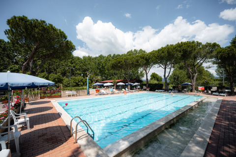 Piscine extérieure avec chaises longues et parasols au Camping Punta Navaccia en Ombrie, Italie, entourée d’arbres.