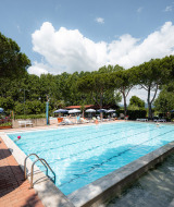 Swimmingpool med liggestole og parasoller på Camping Punta Navaccia i Umbrien, Italien, omgivet af træer.