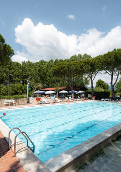 Piscina exterior con tumbonas y sombrillas en Camping Punta Navaccia, Umbría, Italia, rodeada de árboles.