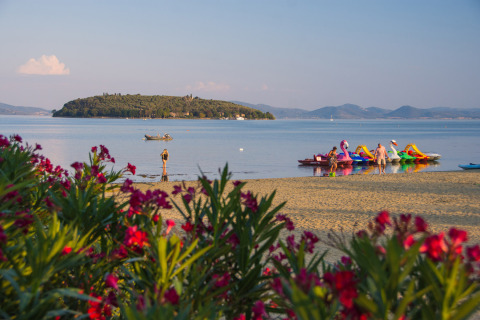 Flores en primer plano, playa y personas junto al lago en Camping Punta Navaccia, Umbría, Italia.