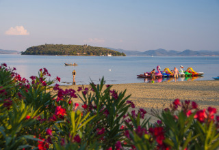 Fleurs au premier plan, plage et personnes au bord du lac à Camping Punta Navaccia, Ombrie, Italie.