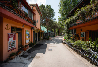 Allée du Camping Punta Navaccia, un parc de vacances en Ombrie, Italie, bordée de plantes et de maisons colorées.