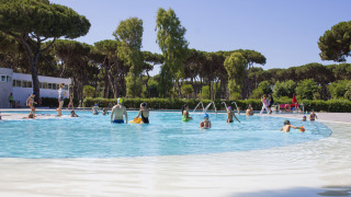Familias disfrutan en la piscina al aire libre de Camping Roma Capitol en Lazio, Italia, rodeados de árboles.