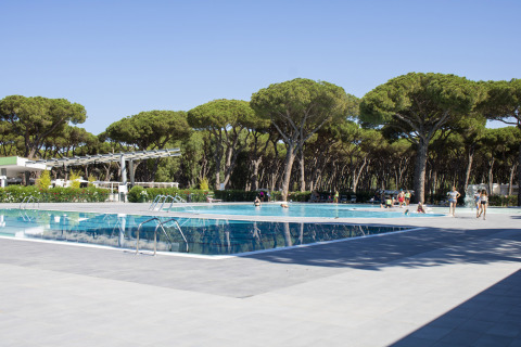 Svømmebassin i Camping Roma Capitol i Lazio, Italien, omgivet af træer og gæster, der nyder solen.