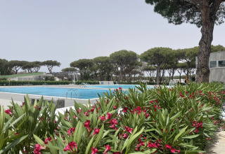 Piscina all'aperto al Camping Roma Capitol, Lazio, Italia, circondata da pini e cespugli fioriti.