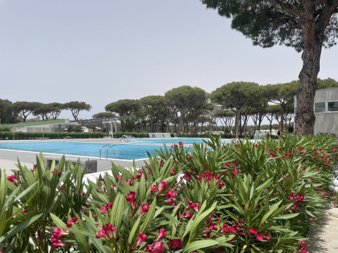 Piscina all'aperto al Camping Roma Capitol, Lazio, Italia, circondata da pini e cespugli fioriti.