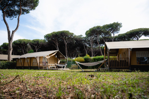Tentes de luxe avec vérandas et hamacs au Camping Roma Capitol, entourées d’arbres en Lazio, Italie.
