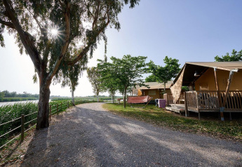 Senda soleada junto a árboles y tienda safari Villatent Wood en Camping Nautic Almata, España, junto al agua.