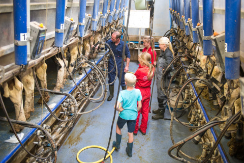 Niños y adultos aprenden sobre el ordeño de vacas en FarmCamps Op Flakkee, parque vacacional en Holanda Meridional.