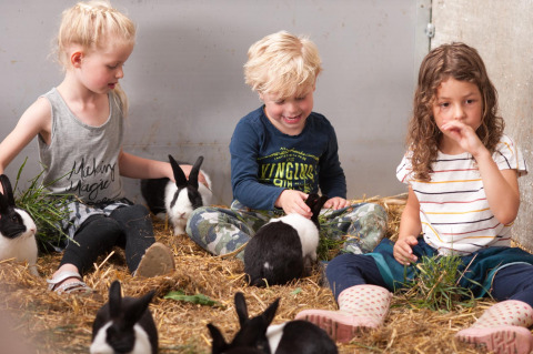 Drei Kinder spielen mit Kaninchen im Stroh bei FarmCamps Op Flakkee, einem Ferienpark in Südholland.