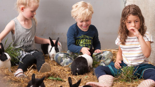 Tres niños juegan con conejos sobre paja en FarmCamps Op Flakkee, un parque vacacional en Holanda Meridional.