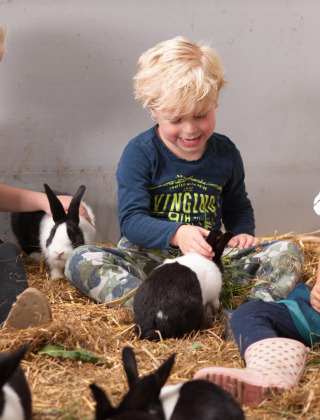 Tres niños juegan con conejos sobre paja en FarmCamps Op Flakkee, un parque vacacional en Holanda Meridional.