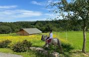 Barn rider på en plettet pony på en grøn mark ved FarmCamps Soodehof Eins, Hesse, Tyskland, om sommeren.