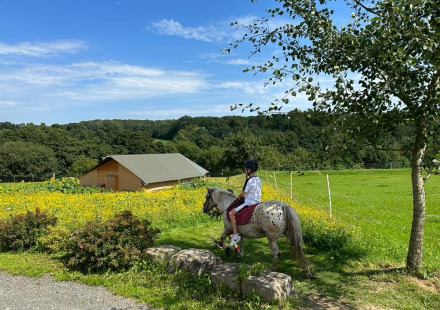 Kind rijdt op een gevlekte pony op een groen veld bij FarmCamps Soodehof Eins, Hessen, Duitsland, in de zomer.