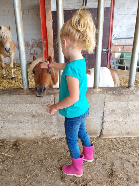 Niña acariciando un poni en FarmCamps Soodehof Eins en Hesse, Alemania, lleva botas rosas y camiseta azul.