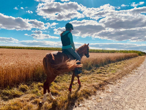 A person rides a horse along a country path beside a wheat field at FarmCamps Soodehof Eins in Hesse, Germany.