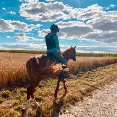 Una persona monta a caballo por un camino rural junto a un campo de trigo en FarmCamps Soodehof Eins en Hesse, Alemania.