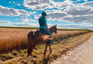 A person rides a horse along a country path beside a wheat field at FarmCamps Soodehof Eins in Hesse, Germany.