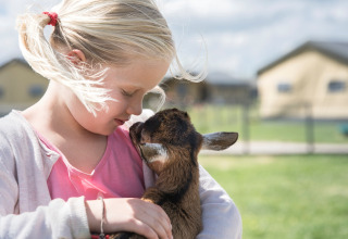 Fillette câlinant un chevreau à FarmCamps Stolkse Weide, un parc de vacances en Hollande-Méridionale, Pays-Bas.