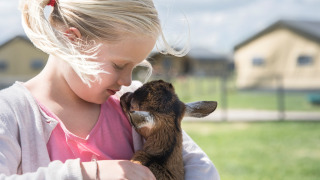 Meisje knuffelt een geitenlam bij FarmCamps Stolkse Weide, een vakantiepark in Zuid-Holland, Nederland.