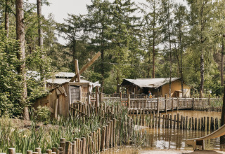 Wooden cabins and a boardwalk beside a pond surrounded by greenery at Camping het Horstmannsbos, Drenthe.