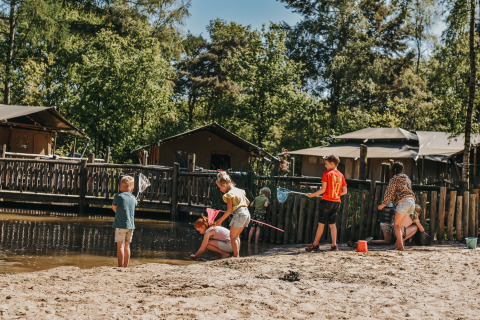 Des enfants jouent près du lac à Camping het Horstmannsbos, Drenthe, Pays-Bas, entourés d’arbres et cabanes.