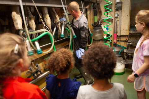 Bambini osservano un agricoltore che mostra le mungitrici moderne a FarmCamps Stolkse Weide, Paesi Bassi.