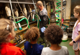 Bambini osservano un agricoltore che mostra le mungitrici moderne a FarmCamps Stolkse Weide, Paesi Bassi.