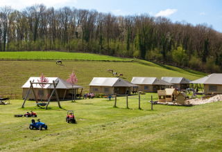 Foto di FarmCamps De Verloren Kost in Limburgo, Paesi Bassi, con tende, area giochi e prato verde.