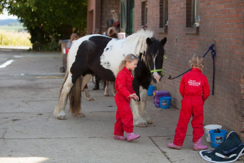 Zwei Kinder in roten Overalls mit einem schwarz-weißen Pferd bei FarmCamps De Verloren Kost in Limburg.