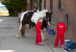 Deux enfants en combinaison rouge avec un cheval noir et blanc à FarmCamps De Verloren Kost, Limbourg.