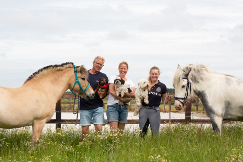 Famiglia con due cavalli e tre cani in un prato a FarmCamps Fleur Stables nel Nord-Holland, Paesi Bassi.