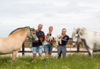 Familie mit zwei Pferden und drei Hunden auf einer Wiese bei FarmCamps Fleur Stables in Nordholland.