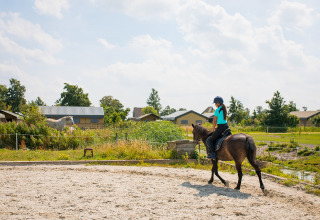 Pige med ridehjelm rider på hest i udendørs ridebane på FarmCamps Fleur Stables i Nordholland, Holland.