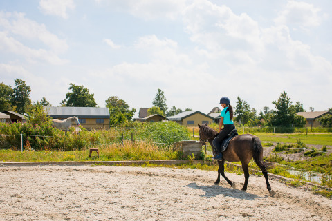 Pige med ridehjelm rider på hest i udendørs ridebane på FarmCamps Fleur Stables i Nordholland, Holland.