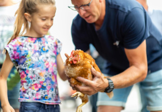 Ein Mann hilft einem jungen Mädchen, ein braunes Huhn auf FarmCamps Fleur Stables in Nordholland, Niederlande, zu halten.