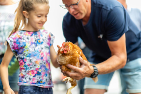 Un uomo aiuta una bambina a tenere una gallina marrone a FarmCamps Fleur Stables in Olanda Settentrionale, Paesi Bassi.