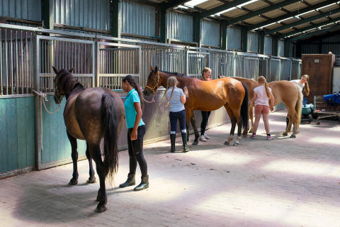 Bambini che spazzolano cavalli nella stalla di FarmCamps Fleur Stables, parco vacanze in Olanda Settentrionale.