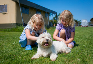 To glade piger leger med en hvid hund på græsset foran bjælkehytter i FarmCamps Fleur Stables, Holland.