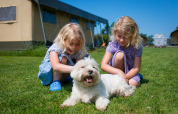 Twee lachende meisjes aaien een witte hond op het gras bij FarmCamps Fleur Stables, Nederland.