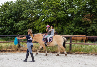 Børn rider på en hest under opsyn af en instruktør på en gård, FarmCamps Fleur Stables, Holland.