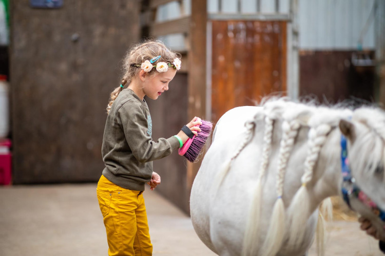 Ein Mädchen bürstet ein weißes Pony mit Zöpfen im Stall bei FarmCamps Fleur Stables in Nordholland.