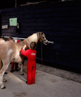 Kinder in roten Overalls bürsten und pflegen Pferde bei FarmCamps Five Star in Zeeland, Niederlande.