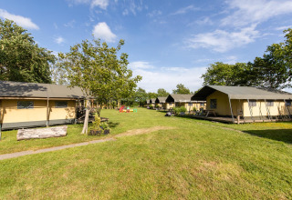 FarmCamps Five Star in Zeeland, Nederland, met verschillende safaritenten en ruim grasveld.