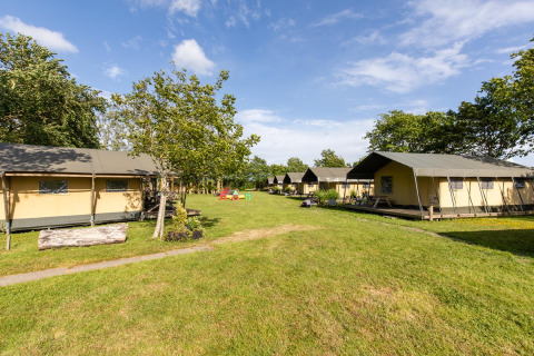 Udsigt over FarmCamps Five Star i Zeeland, Nederlandene, med flere safaritelte og grønne omgivelser.