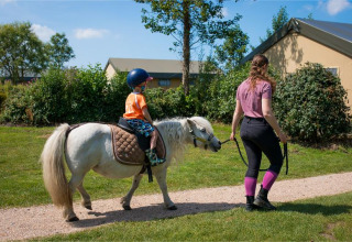 Un bambino cavalca un piccolo pony guidato da un adulto a FarmCamps Fleur Stables in Olanda Settentrionale.