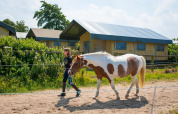 En pige fører en hest på en gård med glamping telte i baggrunden hos FarmCamps Fleur Stables, Holland.