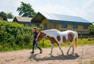 A girl leads a horse along a sandy path at FarmCamps Fleur Stables with glamping tents in the background.